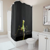 Rideaux De Douche Mante priante (En situation)