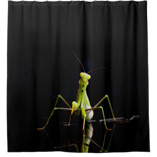 Rideaux De Douche Mante priante (Devant)