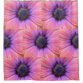 Rideaux De Douche Marguerites roses et orange (Devant)