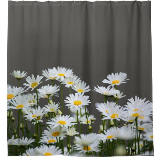 Rideaux De Douche Marguerites sur Gris (Devant)