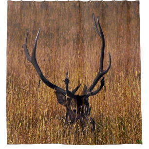 Rideaux De Douche Masquage de la douche d'Elk Curtian