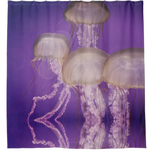 Rideaux De Douche Méduse (Devant)