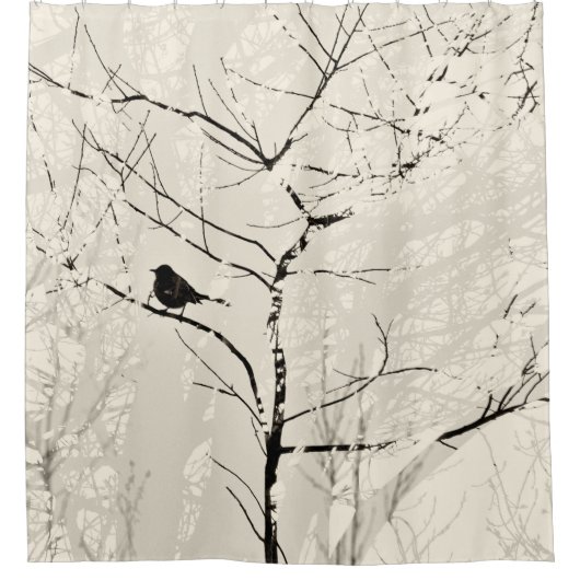 Rideaux De Douche Mockingbird in Silhouette Arbres Amande Noir (Devant)