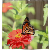 Rideaux De Douche Monarque d'octobre (Devant)