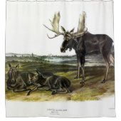 Rideaux De Douche Moose Deer (Moose - Alces alces) par Audubon (Devant)