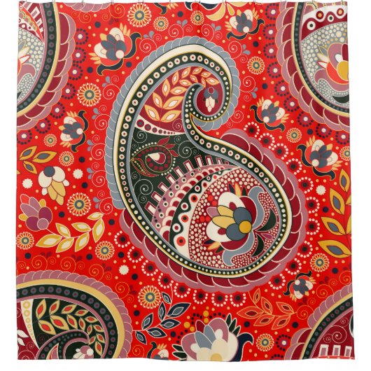 Rideaux De Douche Motif couleur Paisley Indian sans fil (Devant)
