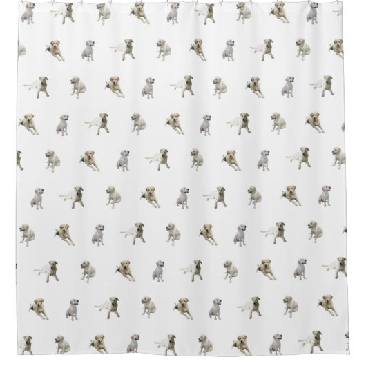 Rideaux De Douche Motif de labrador retriever (blanc) (Devant)