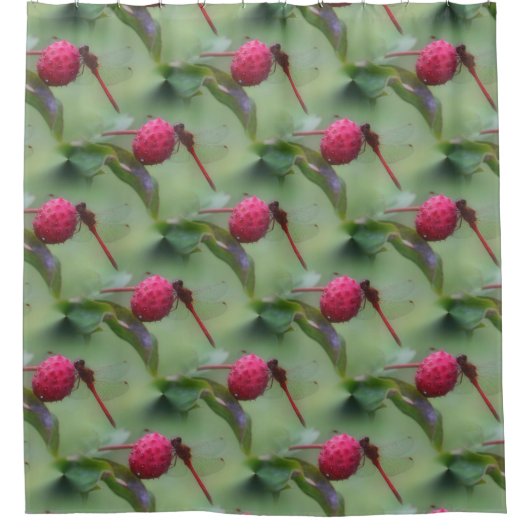 Rideaux De Douche Motif de libellule rouge (Devant)
