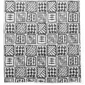 Rideaux De Douche Motif principal (Devant)