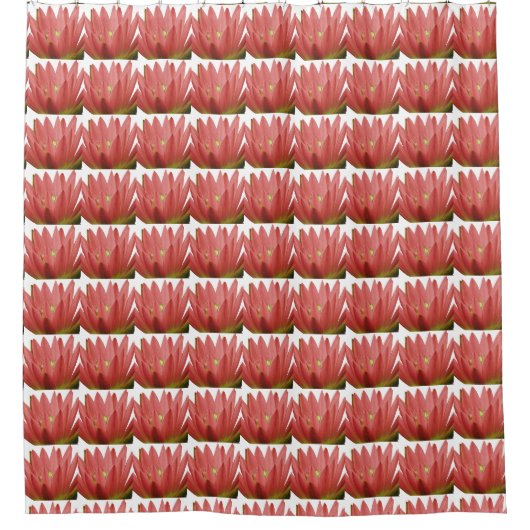 Rideaux De Douche Motif Tulip (Devant)