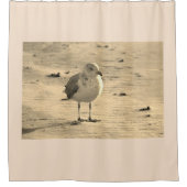 Rideaux De Douche Mouette sur la plage (Devant)