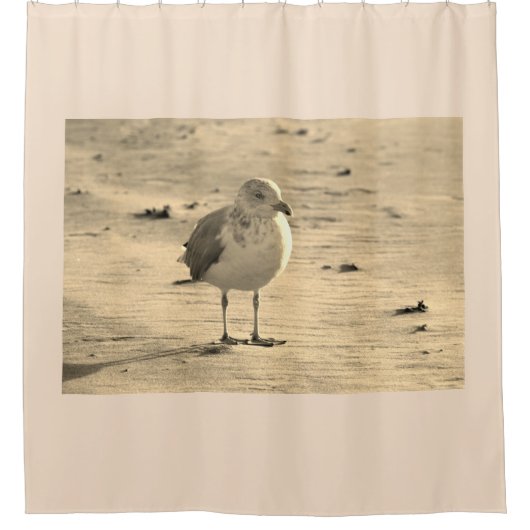 Rideaux De Douche Mouette sur la plage (Devant)