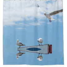 Mouettes assis en vol Oiseaux Ciel bleu