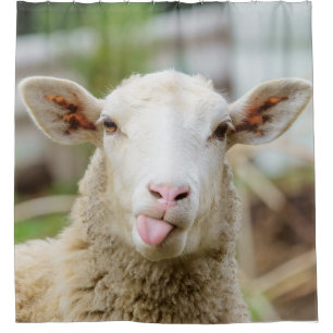 Rideaux De Douche Mouton montrer langue