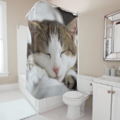 Rideaux De Douche Nap de chat mignon (En situation)
