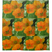 Rideaux De Douche Nasturtiums (Devant)