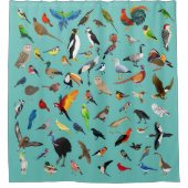 Rideaux De Douche Nerd d'oiseaux (Devant)