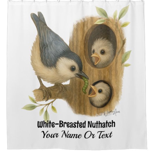 Rideaux De Douche Nuthatch à poitrine blanche (Devant)