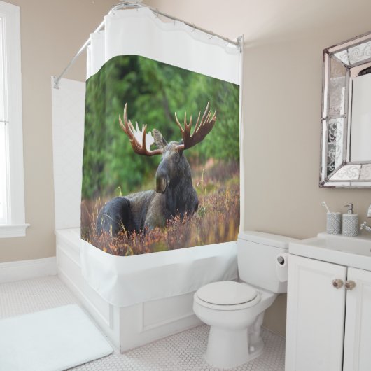 Rideaux De Douche Oie (En situation)