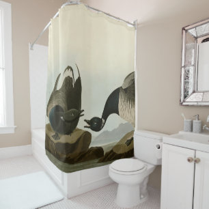 Rideaux De Douche Oie de Bernache du Canada (Bernache du Canada) d'A
