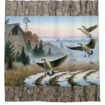 Oies Dans Le Champ Agricole