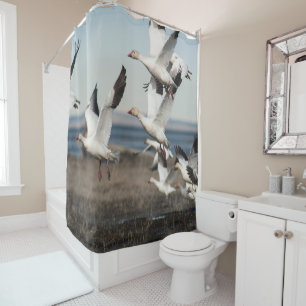 Rideaux De Douche Oies de neige de vol