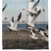 Rideaux De Douche Oies de neige de vol (Devant)