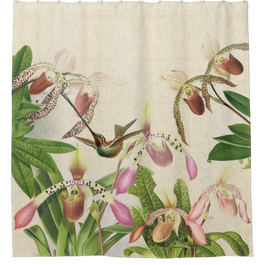 Rideaux De Douche Oiseau-colibri Lames Slipper Orchidée Fleurs (Devant)