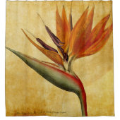 Rideaux De Douche oiseau du paradis (Devant)