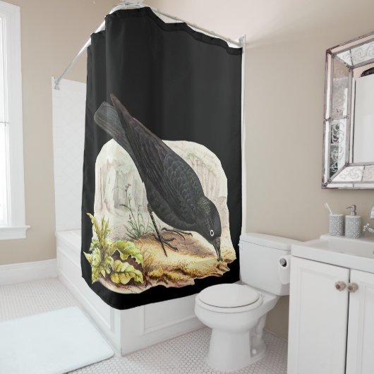 Rideaux De Douche Oiseaux primitifs. Blackbird Raven (En situation)