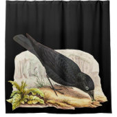 Rideaux De Douche Oiseaux primitifs. Blackbird Raven (Devant)