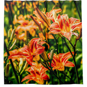 Rideaux De Douche Orange Daylilies Fleurs
