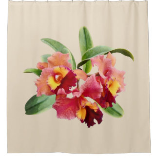 Rideaux De Douche Orchidées Cattleya pêche et cramoisi