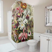 Rideaux De Douche Orchidées, Orchidée Denusblumen Ernst Haeckel (En situation)