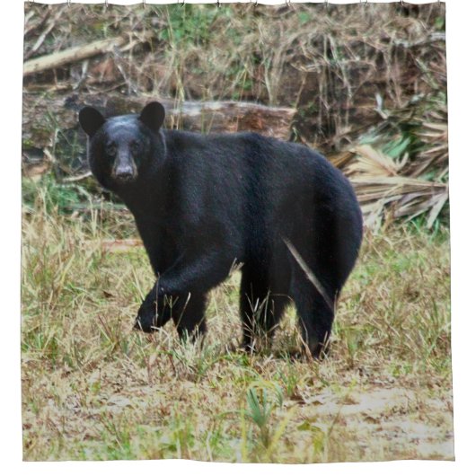 Rideaux De Douche Ours noir de Floride (Devant)