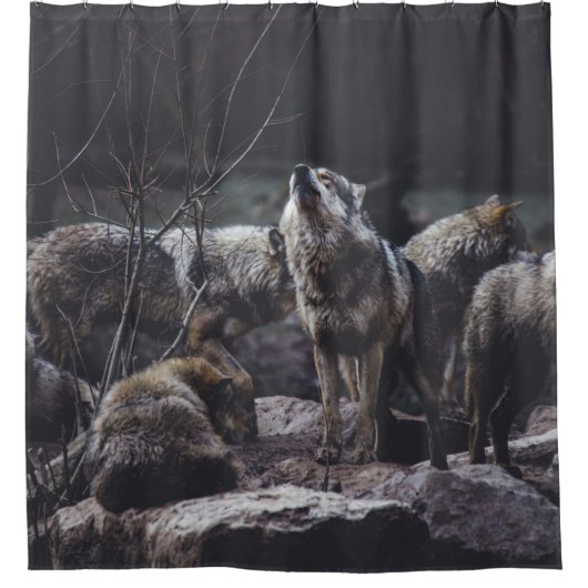 RIDEAUX DE DOUCHE PACK DE LOUPS EN FORMATION ROCK (Devant)