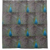 Rideaux De Douche Pacock (Devant)