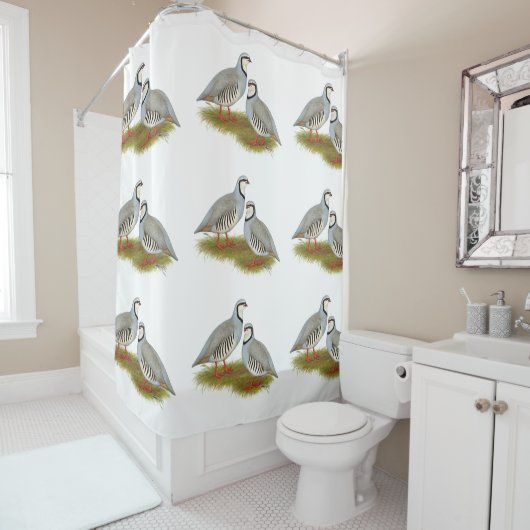 Rideaux De Douche Paire de perdrix de Chukar (En situation)