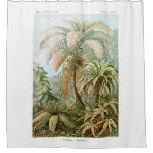 Rideaux De Douche Palm Tree Ernst Haeckel (Devant)