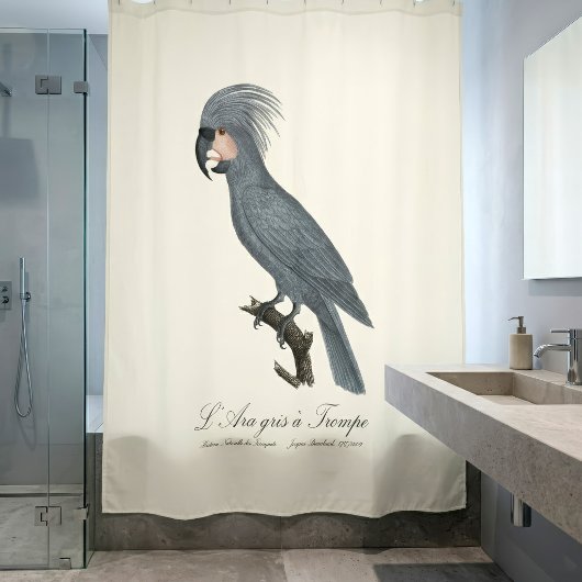 Rideaux De Douche Palmiste noir, Probosciger aterrimus