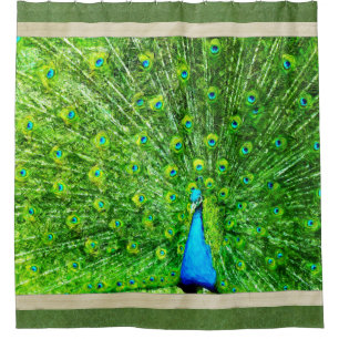 Rideaux De Douche Paon vert et bleu d'impressionisme