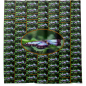 Rideaux De Douche Papillon bleu - Gros plan Motif de la nature (Devant)