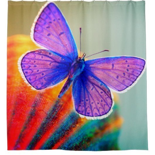 Rideaux De Douche Papillon d'art (Devant)