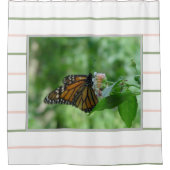 Rideaux De Douche Papillon monarque à rayures rose verte (Devant)