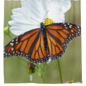 Rideaux De Douche Papillon Monarque sur Cosmos (Devant)