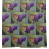 Rideaux De Douche Papillon Monarque Sur Papillon Bush (Devant)