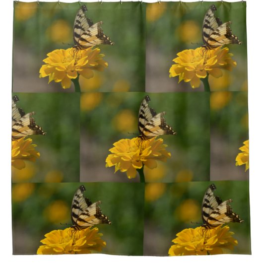 Rideaux De Douche Papillon Swallowtail sur Zinnia (Devant)
