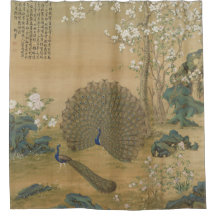 Peacock étend son art de queue