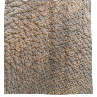 Peau d'éléphant : Arrière - plan de texture Abstra