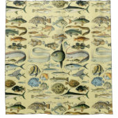 Rideaux De Douche Pêche scientifique vintage (Devant)